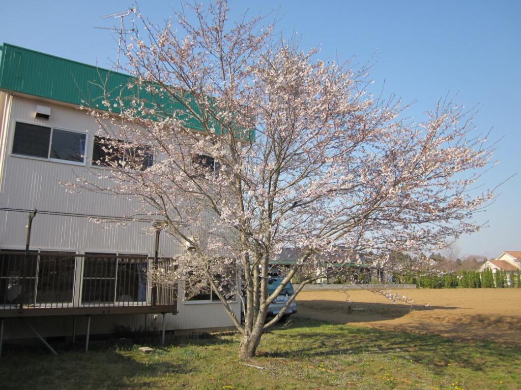 Narita Airport Hostel Shibayama Dış mekan fotoğraf